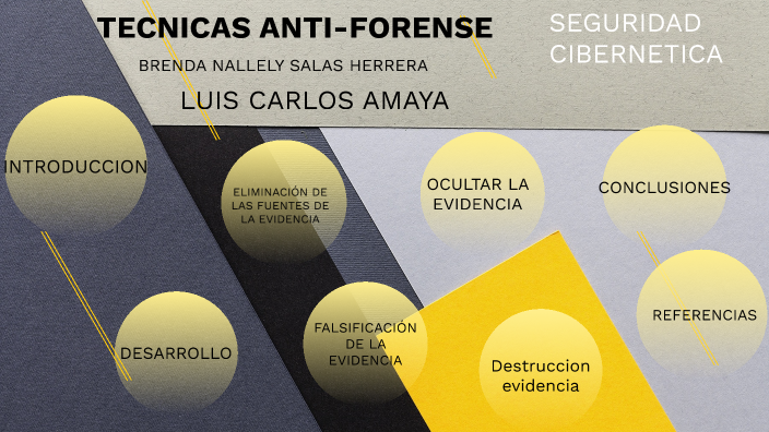 TECNICAS ANTIFORENSES by Michelle Rascón on Prezi