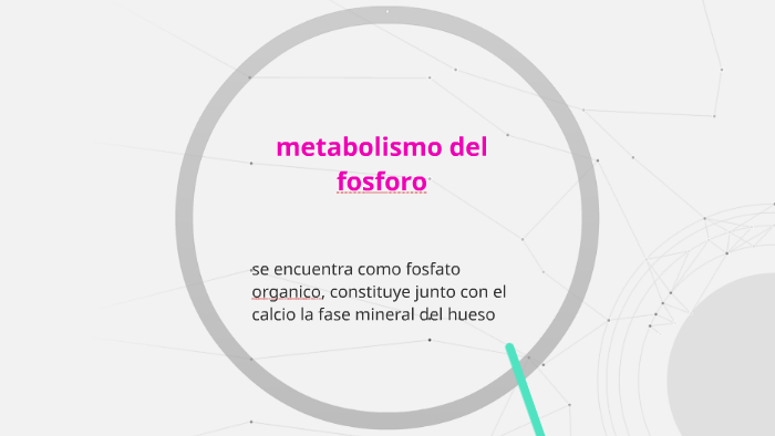 Metabolismo Del Fosforo By Yulieth Paola Santiago Rojas