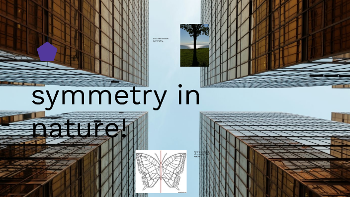 symmetry in nature! by Declan Rigney on Prezi