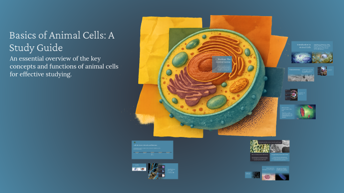 Basics of Animal Cells: A Study Guide by Chloe Vazquez on Prezi