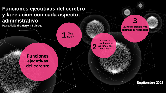 Funciones ejecutivas del cerebro Maira HB by Maira Herrera on Prezi