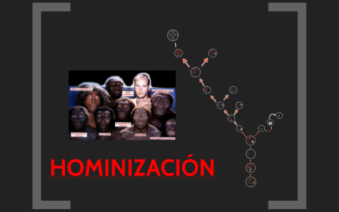 HOMINIZACIÓN by Andrea Conde on Prezi
