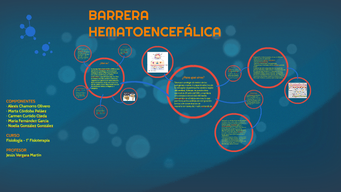 Barrera HematoencefÁlica By Alexis Chamorro 1332