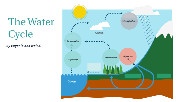 The Water Cycle by Eugenia Wan