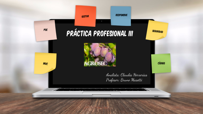 Práctica Profesional III by Claudia Herrerías on Prezi