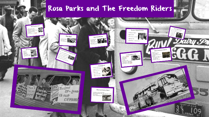 rosa parks freedom rider book