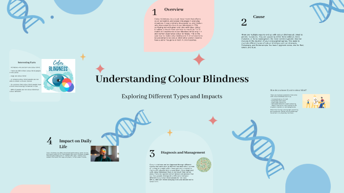 Understanding Colour Blindness By Will0460 Will0460 On Prezi