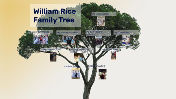 family tree by William Rice on Prezi