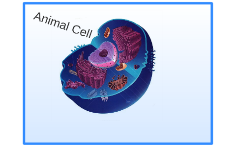 Animal Cell by hunter gladson on Prezi