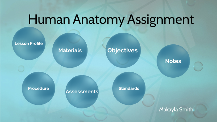 anatomy assignment presentation