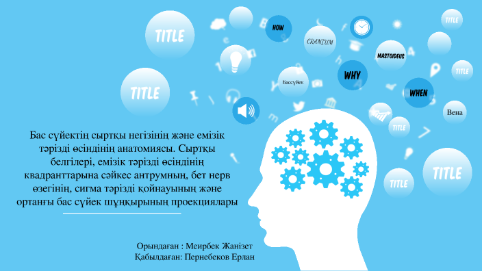 Сұр камера порно