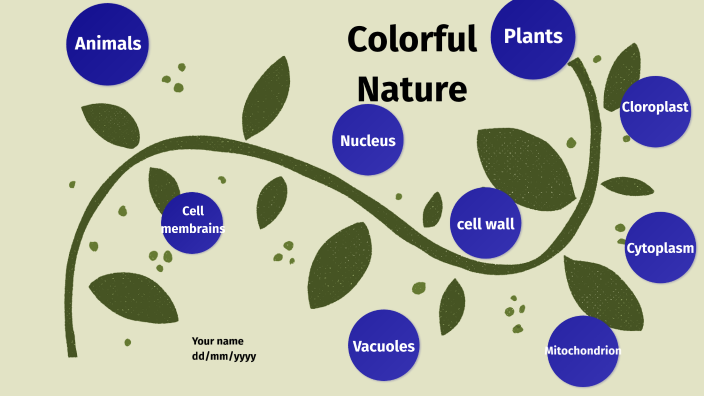 Plant and animal cells by Kaimaile Tennyson Wagner on Prezi