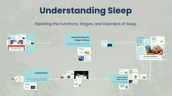 Understanding Sleep by Sara Salazar on Prezi