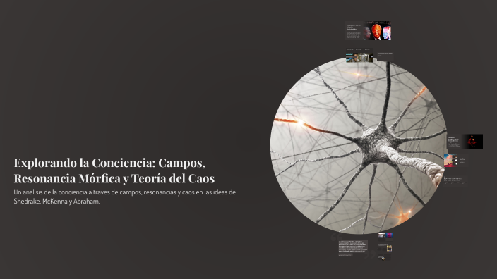 Explorando la Conciencia: Campos, Resonancia Mórfica y Teoría del Caos ...