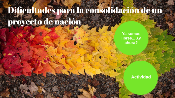 Dificultades para la consolidación de un proyecto de nación by Joel