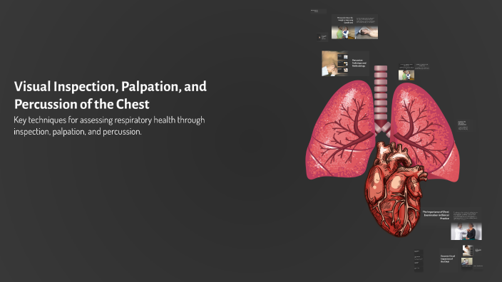 Visual Inspection, Palpation, and Percussion of the Chest by Lucia ...