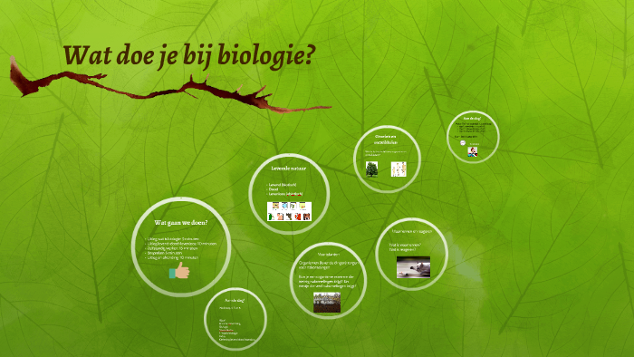 Wat doe je bij biologie? by Marjolein Schouten on Prezi