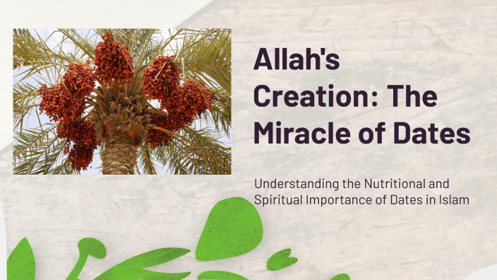 The Miracle of Dates: A Sign of Allah's Wisdom and Power by Mohamed on ...