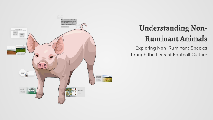 Understanding Non-Ruminant Animals by Mattie Chigwende on Prezi