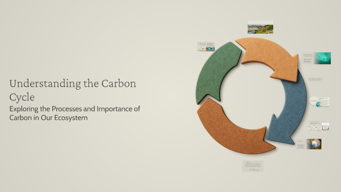 Understanding the Carbon Cycle by Angel Edaño on Prezi
