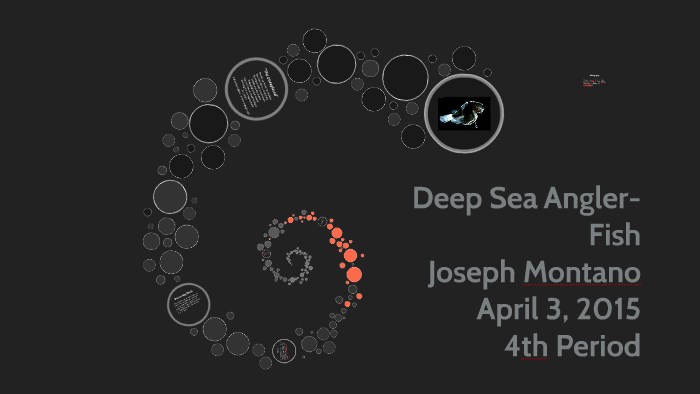 Deep Sea Angler-Fish by Joseph Montano on Prezi