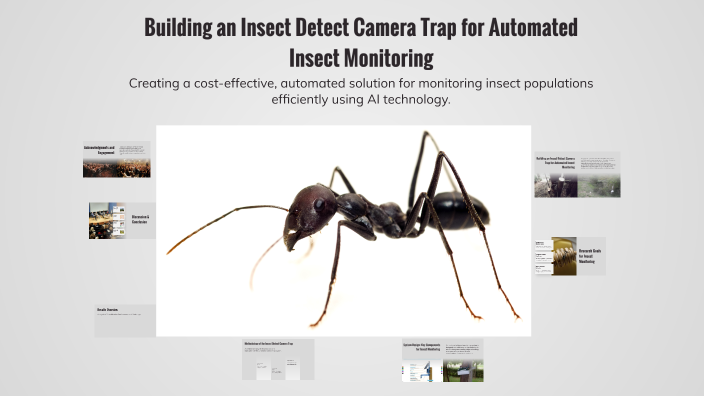 Building an Insect Detect Camera Trap for Automated Insect Monitoring ...