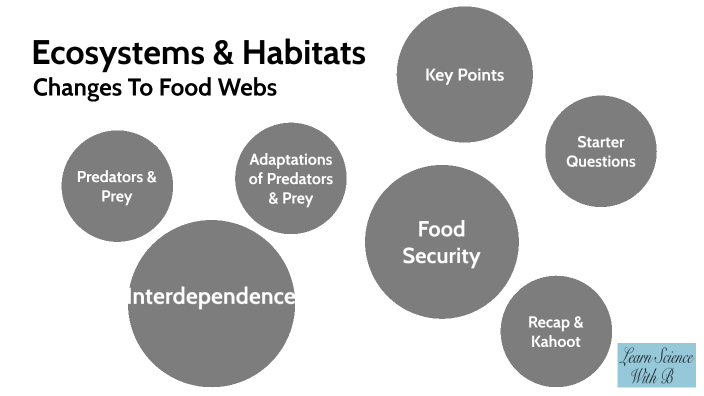 KS3 Biology Ecosystems & Habitats Pt2 Changes To Food Webs By Burnadette Ilies On Prezi