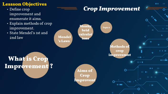 crop-improvement-by-amos-emeaso