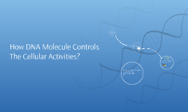 how dna molecule controls the cellular