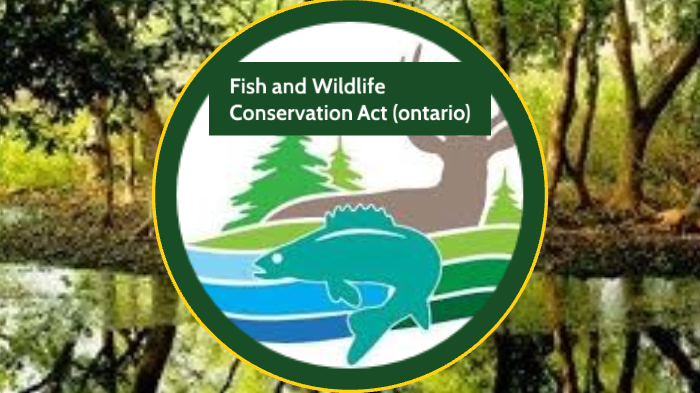 Fish And Wildlife Conservation Act 1997 By Nyah Richards On Prezi