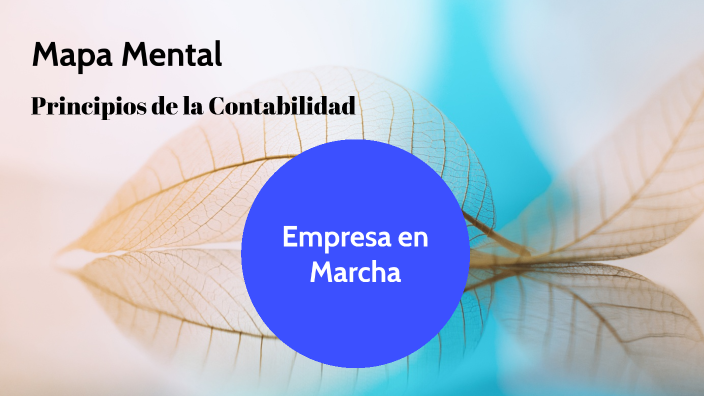Mapa Mental by LINDA TATIANA TAMAYO CARDENAS on Prezi