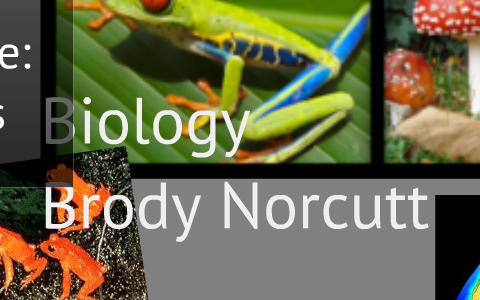 Biology Overview By Brody Norcutt