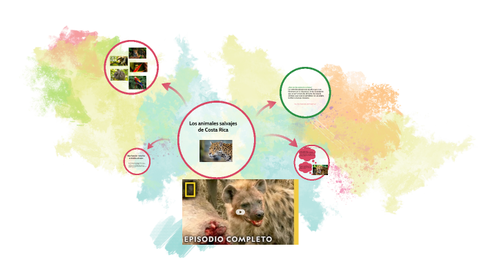 Los animales salvajes de Costa Rica by yuri lobo on Prezi