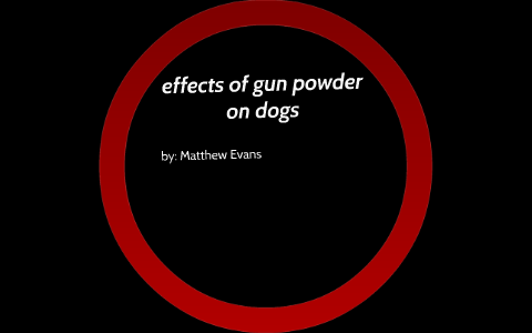 what happens if you give a dog gunpowder