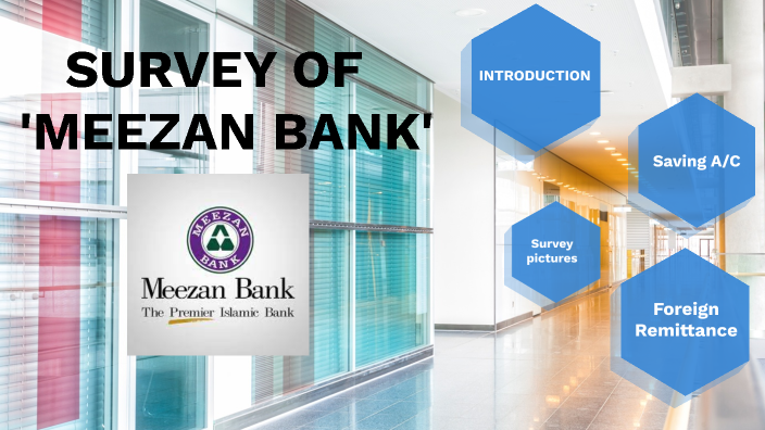 essay on meezan bank