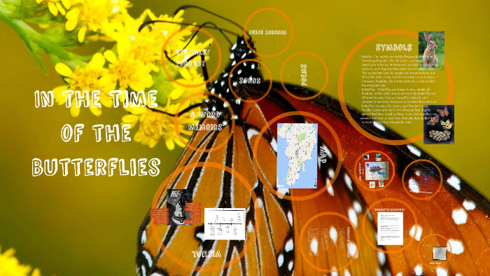 In the Time of the Butterflies by Alexandra Wilson