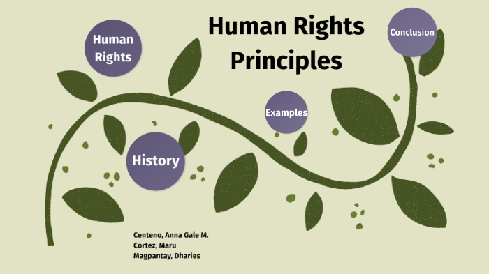 human-rights-principles-by-anna-gale-centeno