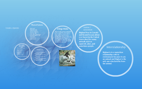 Create a Species by braven grant on Prezi