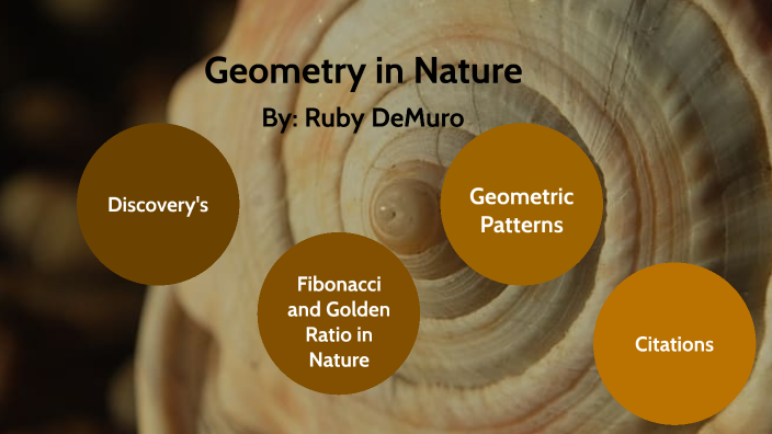 geometry in nature essay