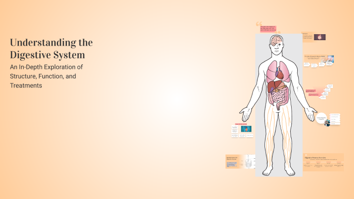 Understanding the Digestive System by Zainab Maghraby on Prezi