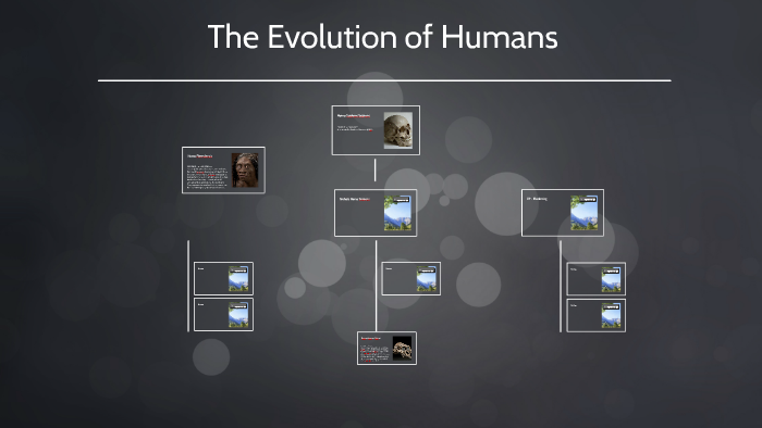 The Evolution of Humans by Tim O'Neil on Prezi