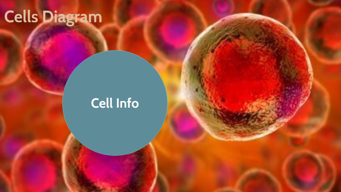 Cells diagram by Mia Munoz on Prezi