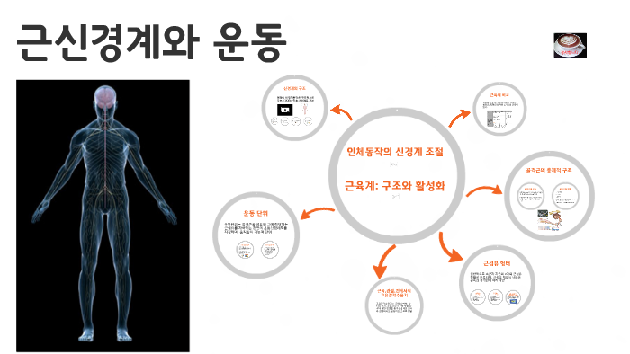 근신상간 근신상간