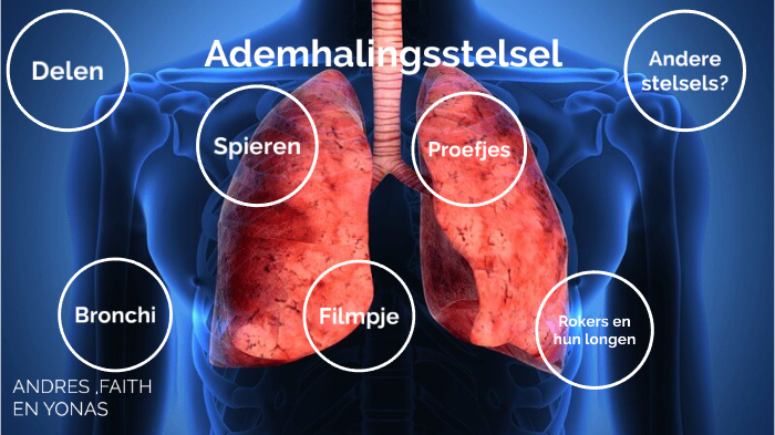 Het ademhalingsstelsel by yonas zuleta on Prezi