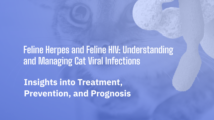 Feline Herpes and Feline HIV: Understanding and Managing Cat Viral ...