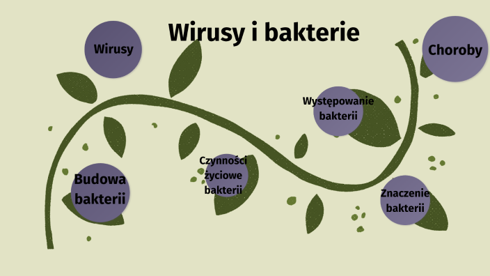 Olx Bilogia Klasa 5 Sprawdzian Wirusy Bakterie Wirusy i bakterie kl. 5 by Sylwia Kaniewska on Prezi