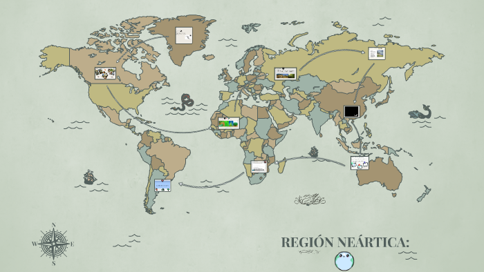REGION NEARTICA: by camila gutierrez on Prezi