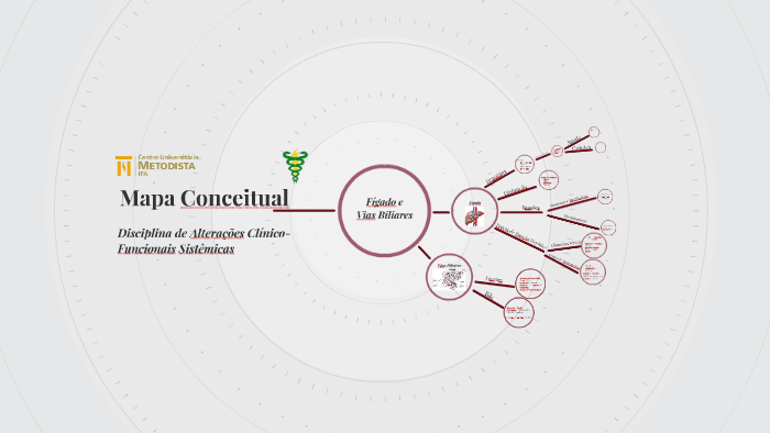 Mapa Conceitual by Lucieli Trevizol de Oliveira on Prezi