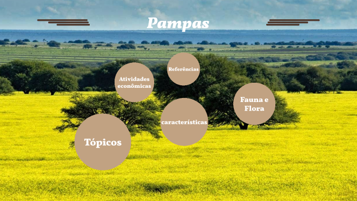 trabalho pampas by Itâmiza santos on Prezi