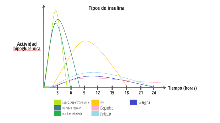 Tipos De Insulina By María Del Mar